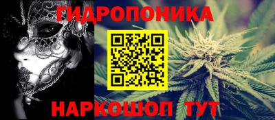 ГАЛЛЮЦИНОГЕННЫЕ ГРИБЫ Гагарин